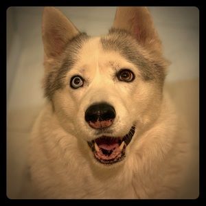 Meet your Posher, Nikki